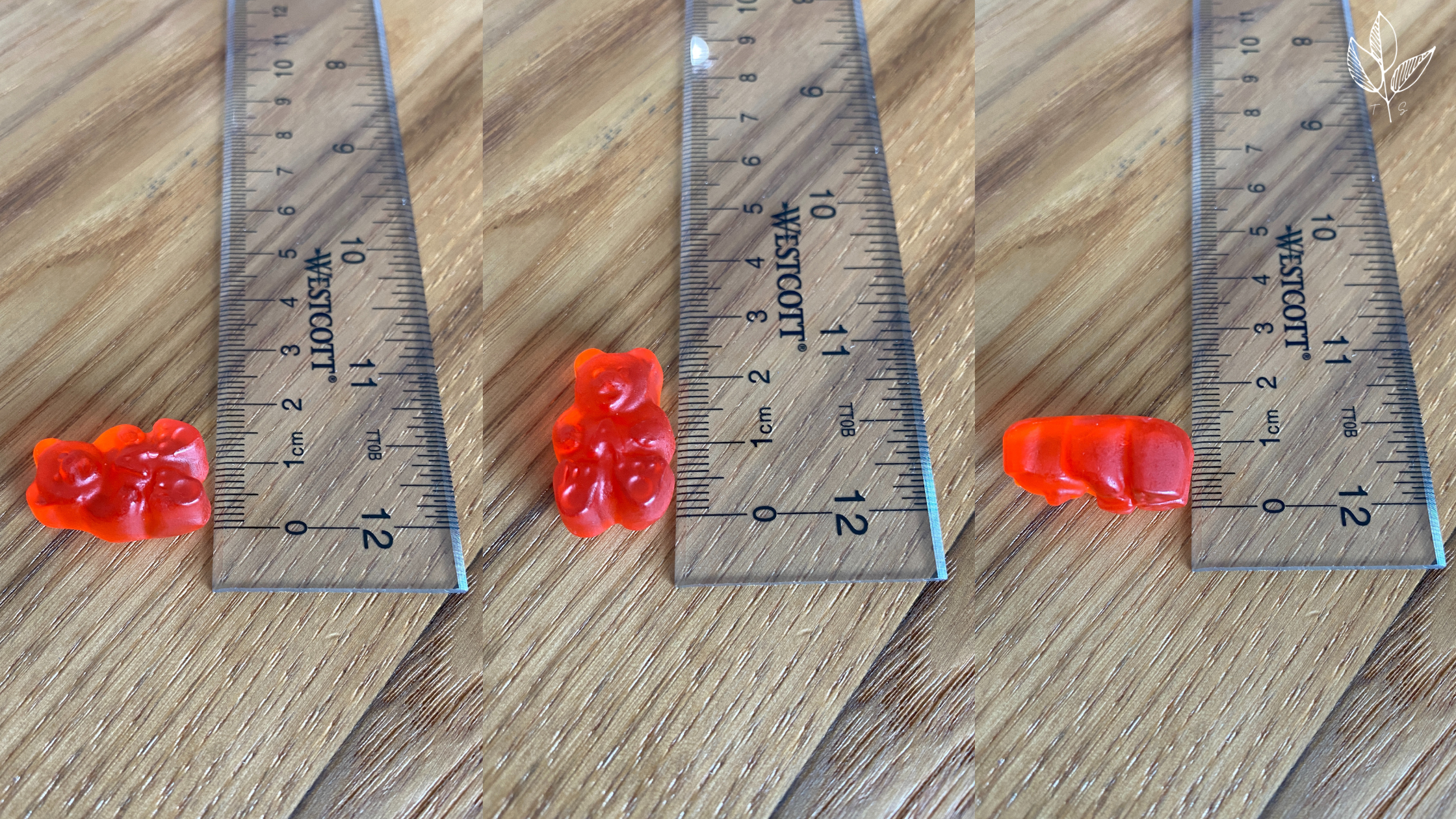 Gummy Bear Experiment Measurements