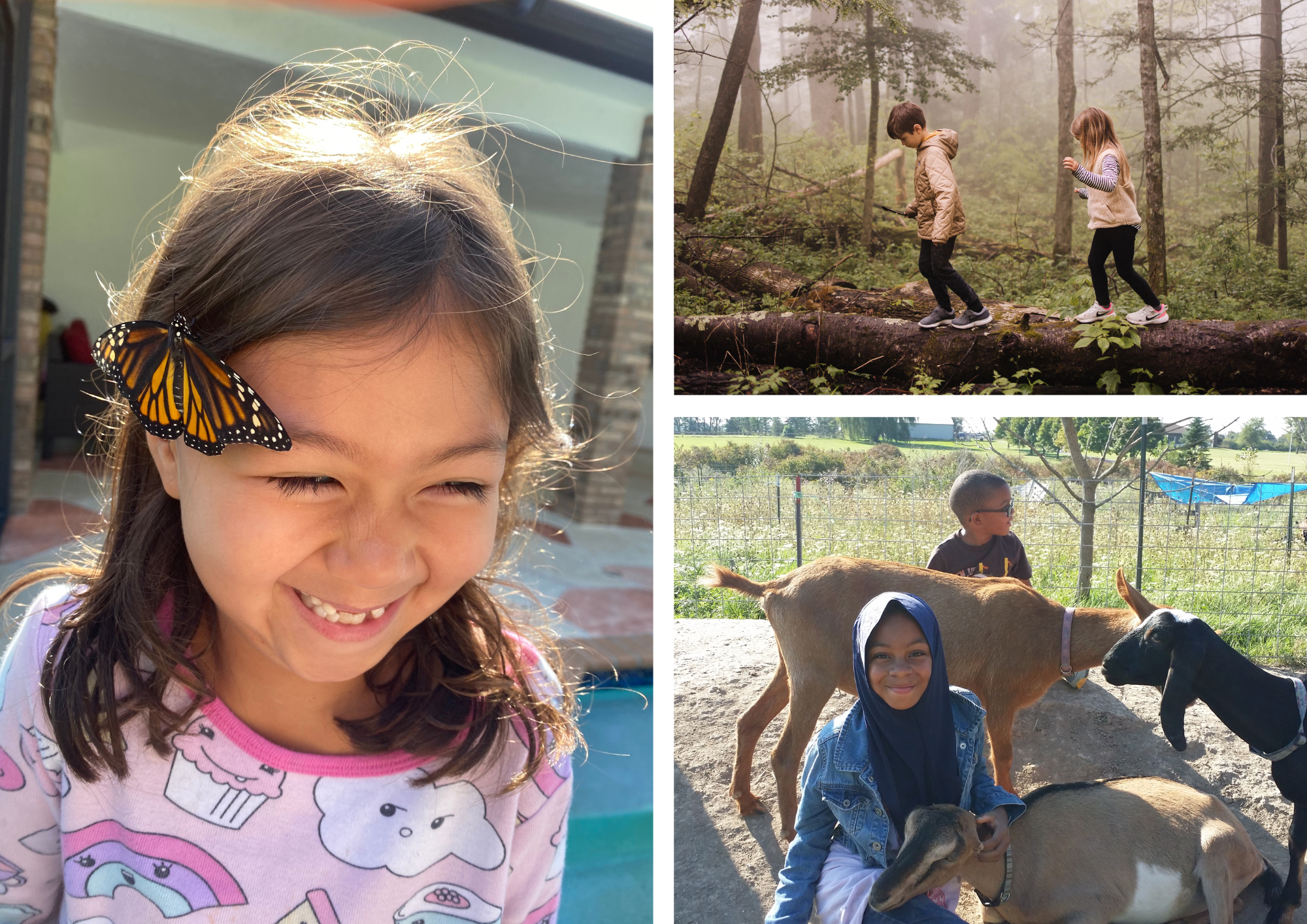 A girl smiling with a butterfly on her face; two children running across a log; a girl smiling while petting a goat