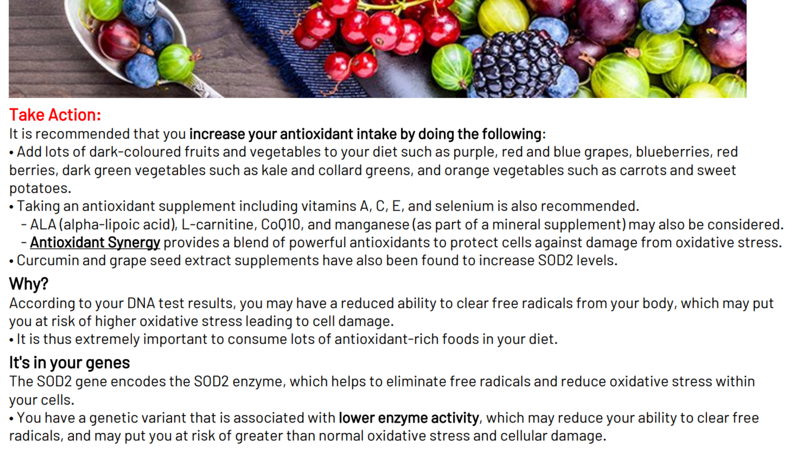 Sample results from a MyBlueprint lifestyle report