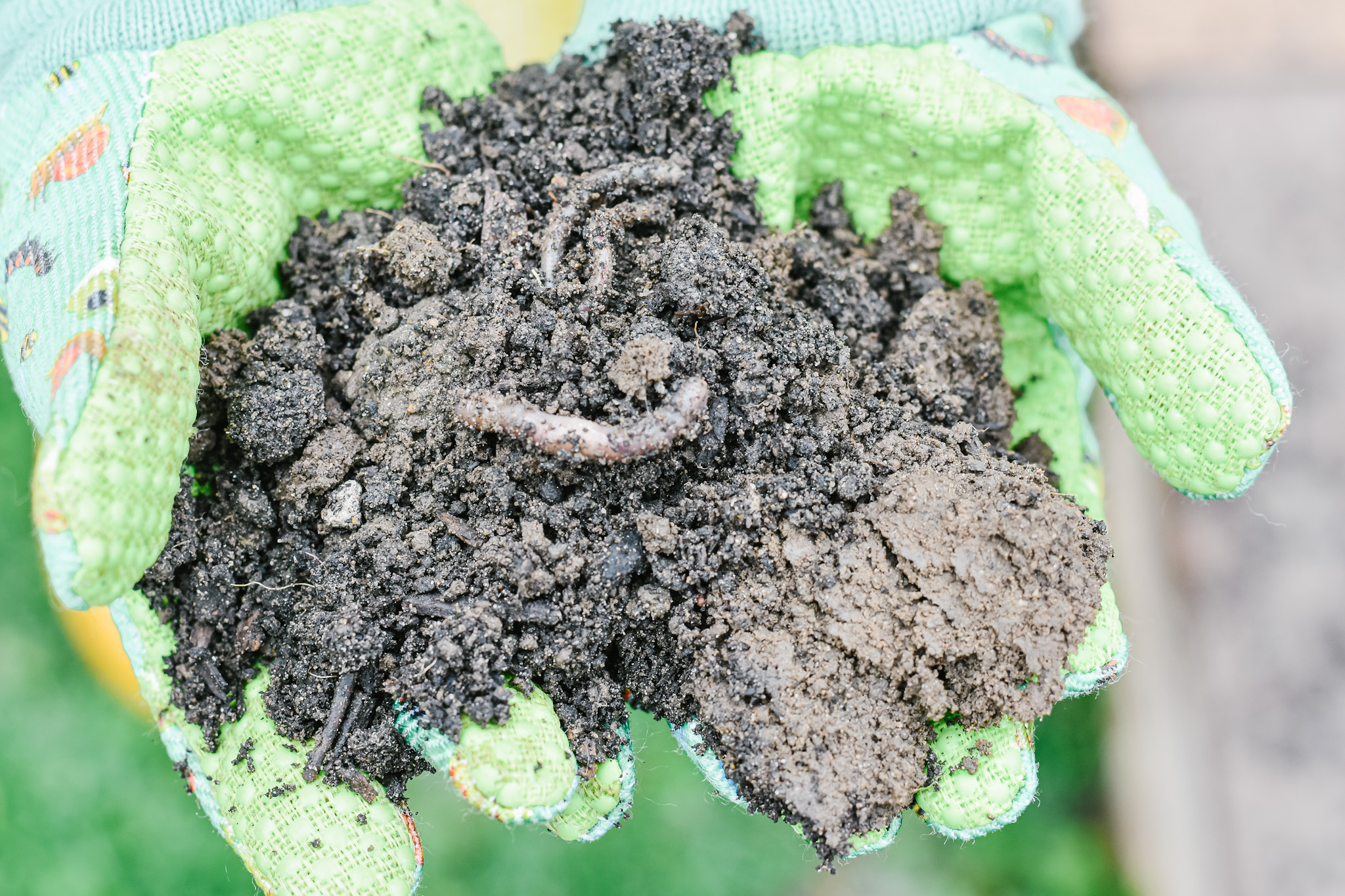 Worms composting with kids ecoparent