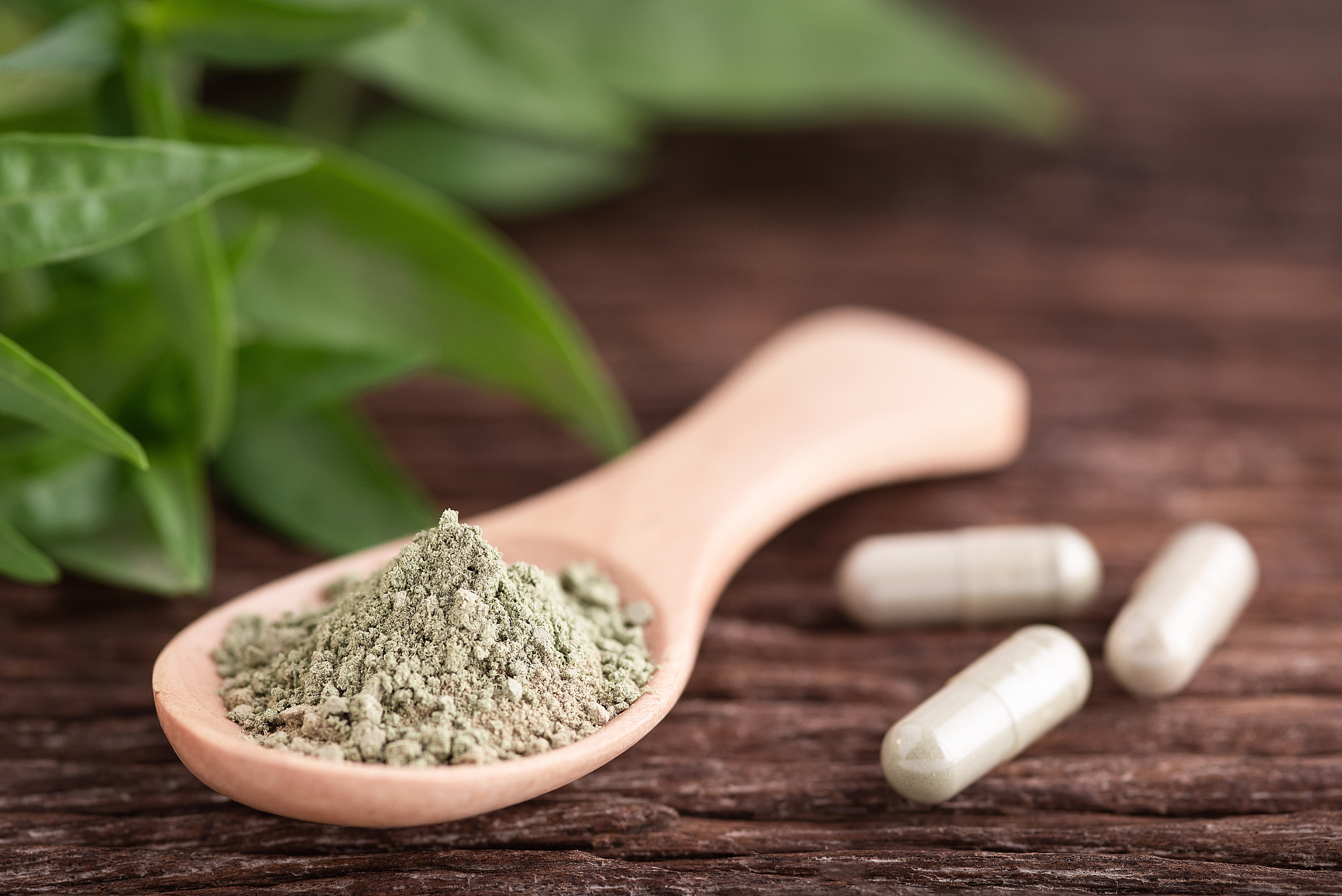 Andrographis powder in a bowl alongside supplement capsules