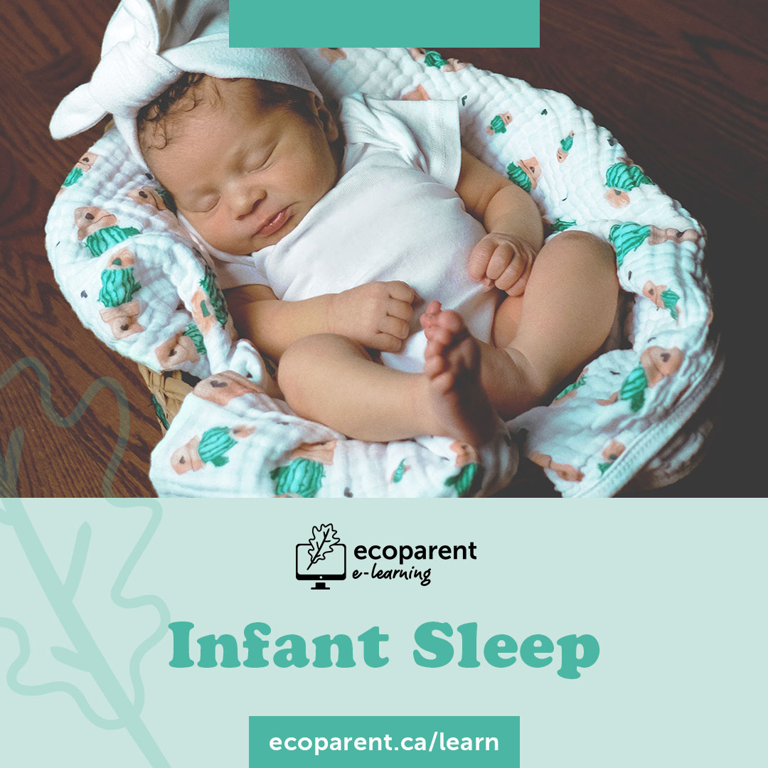 Infant Sleep Course