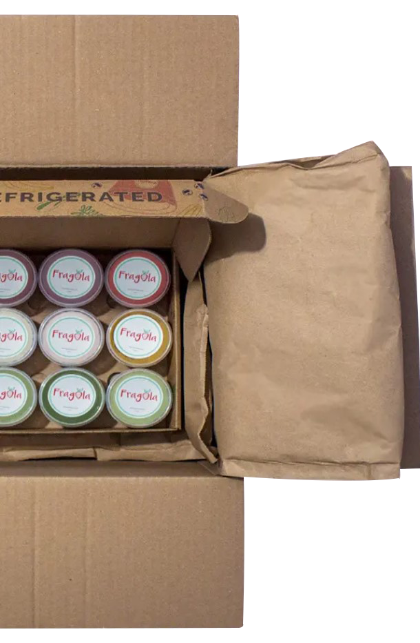 Fragola baby food subscription service
