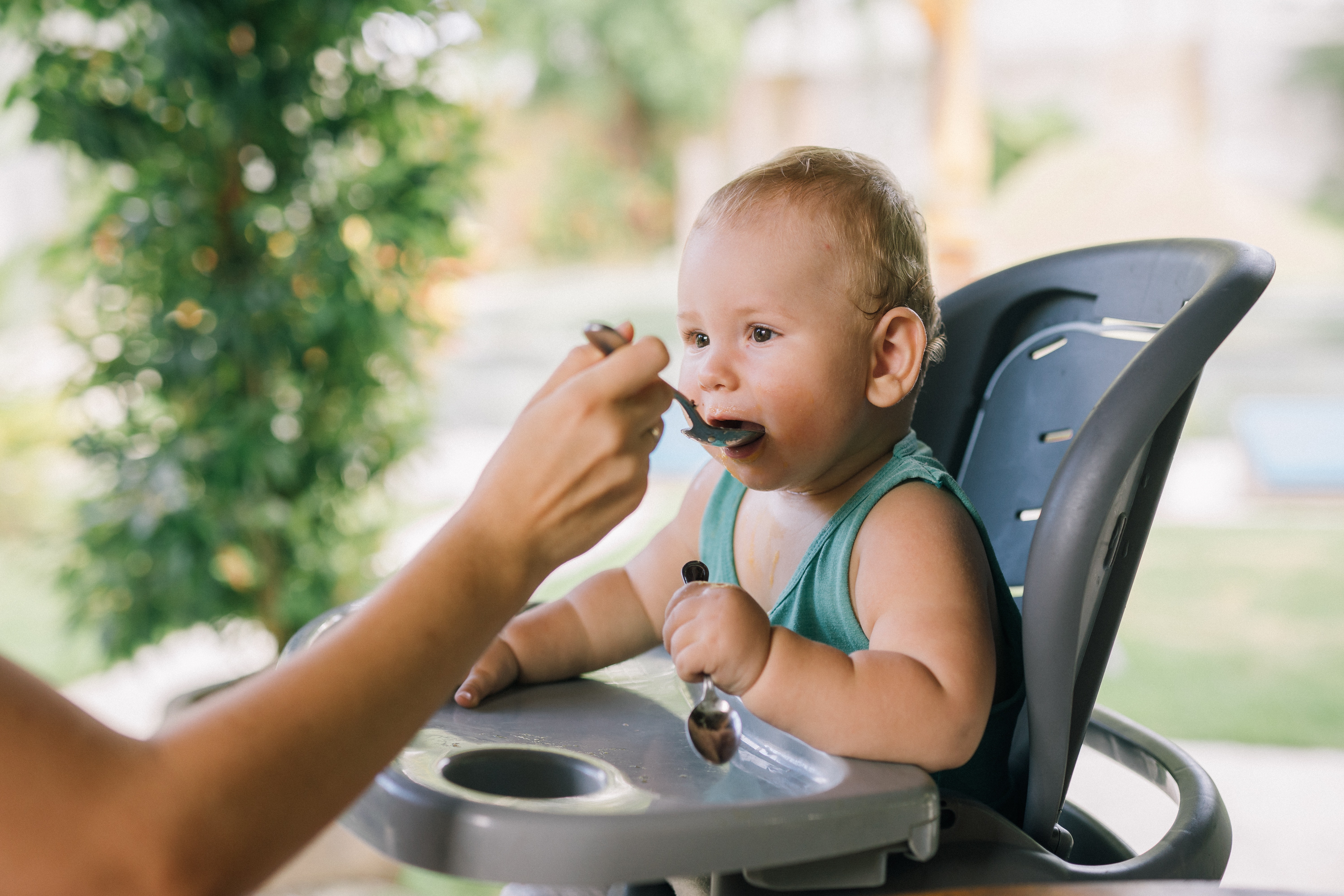 babies infants solid food