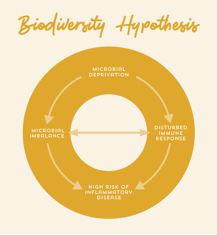 biodiversity hypothesis