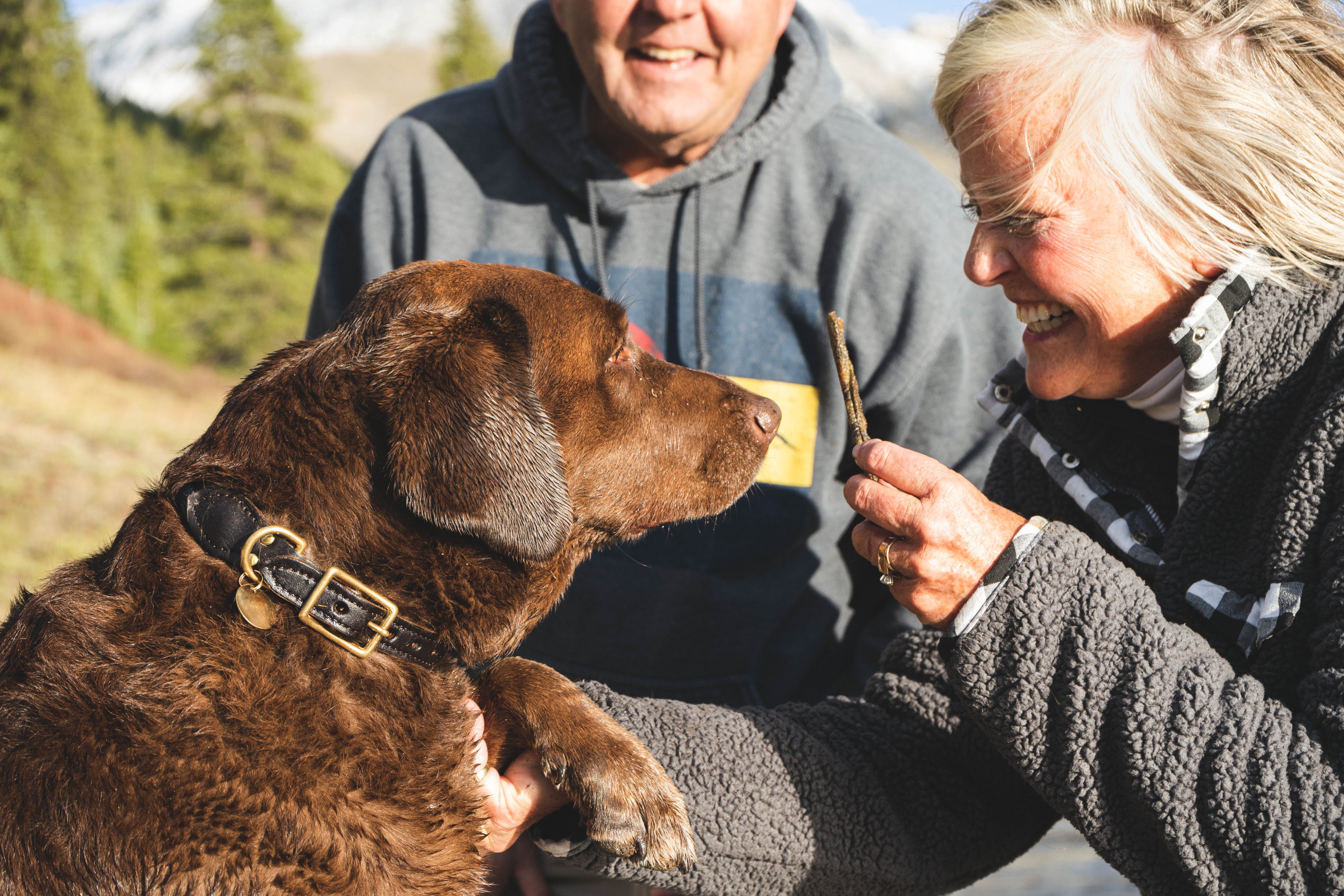 Seniors interact playfully with a dog outside