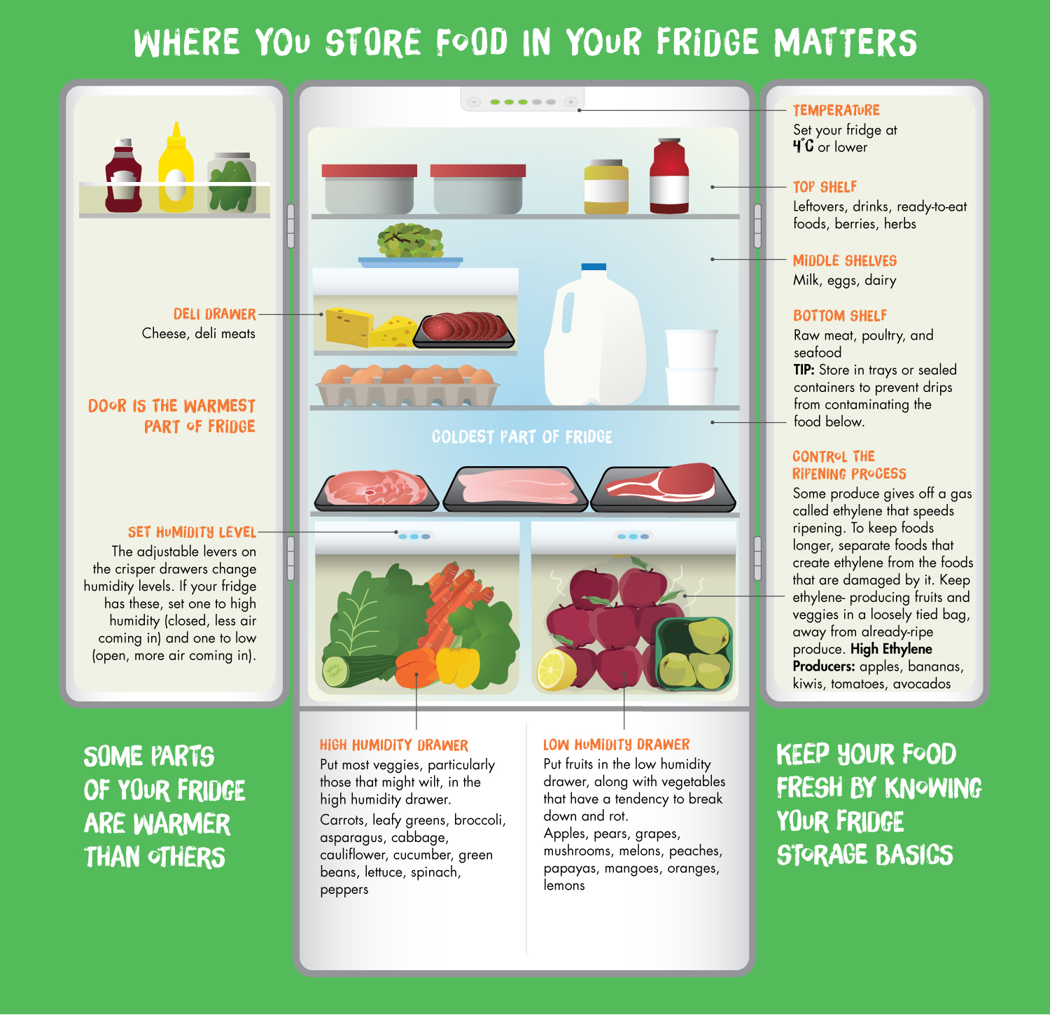 fridge infographic