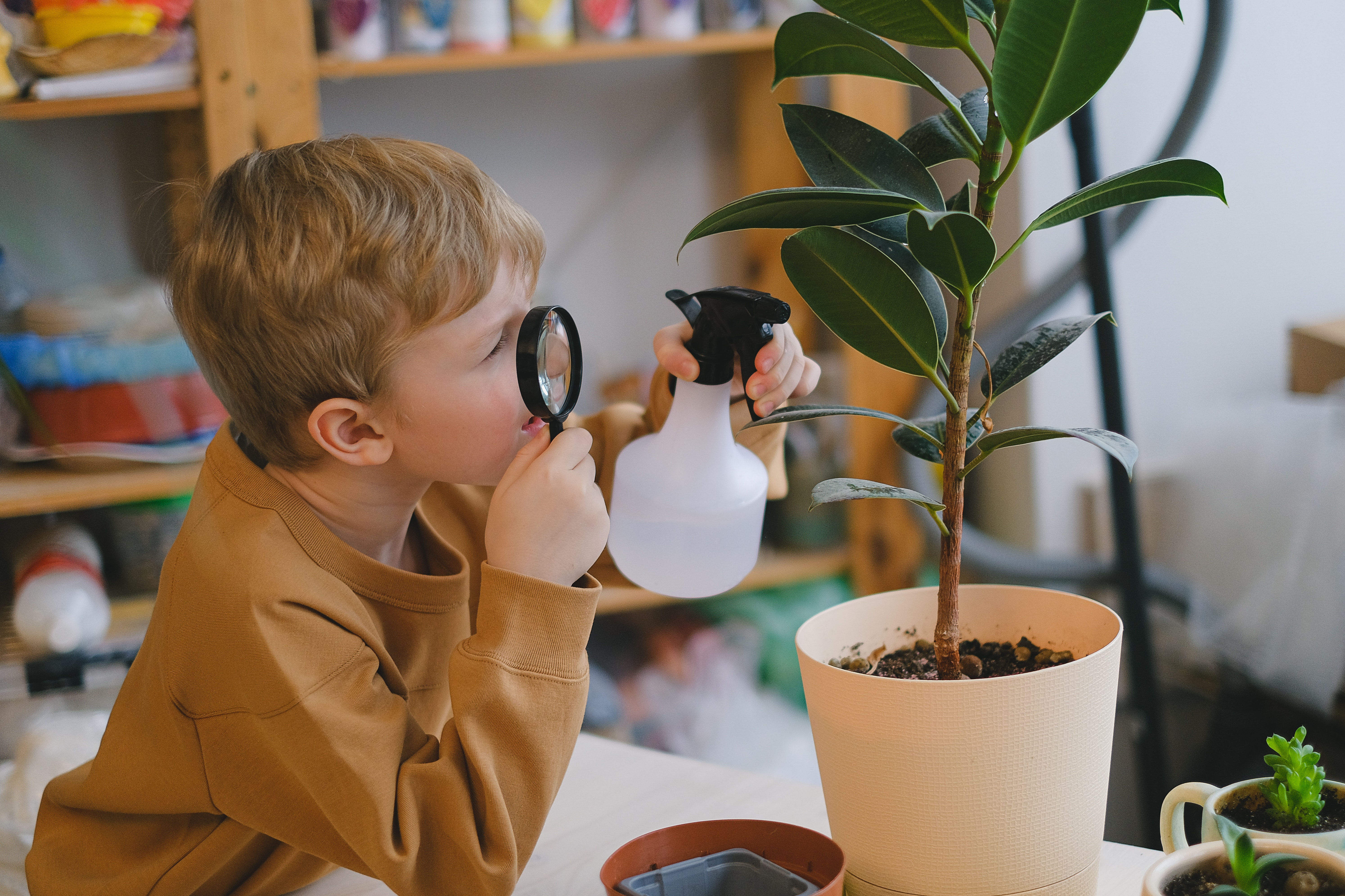 A child examines a plant