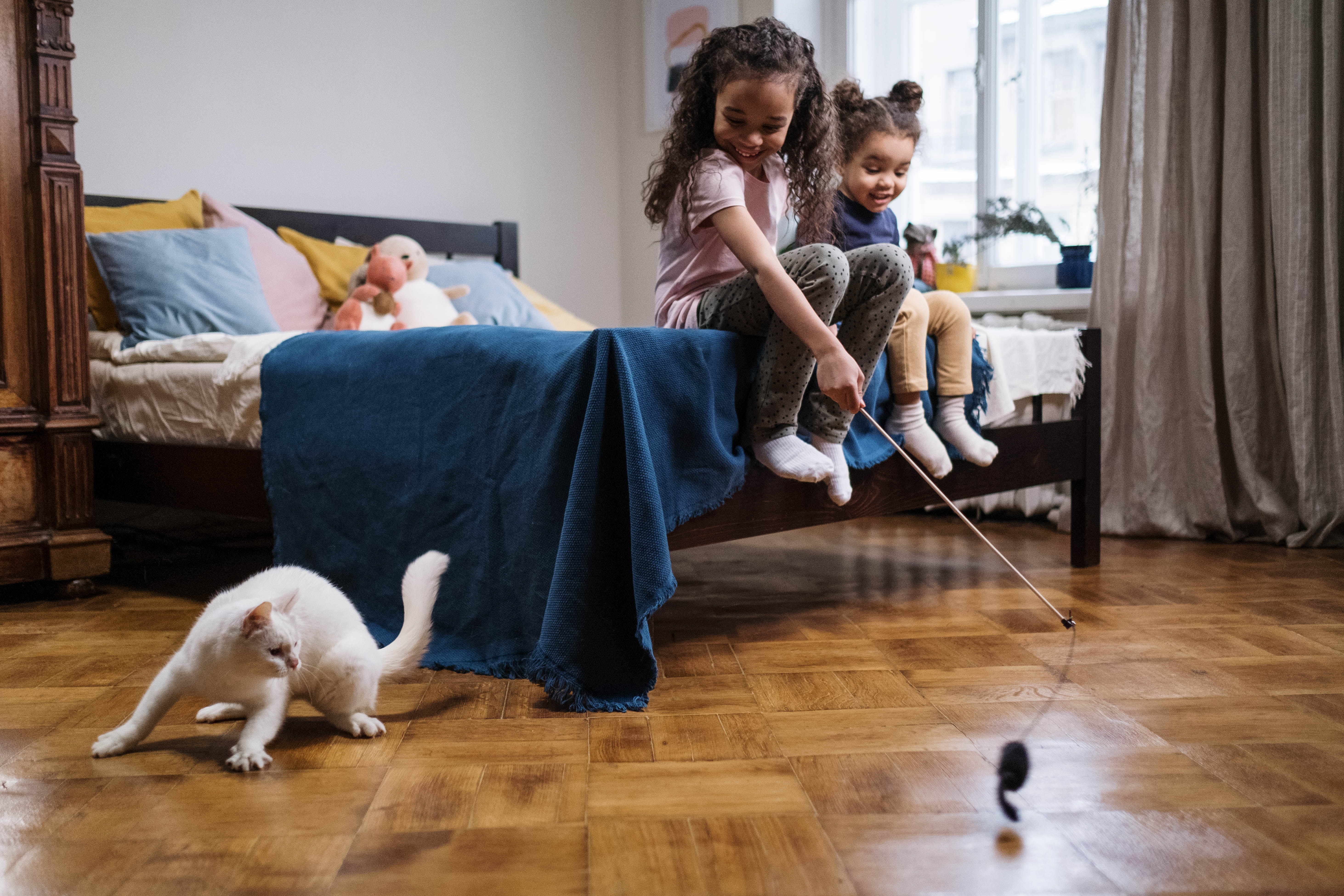 Children play a hunting game with a cat in a bedroom