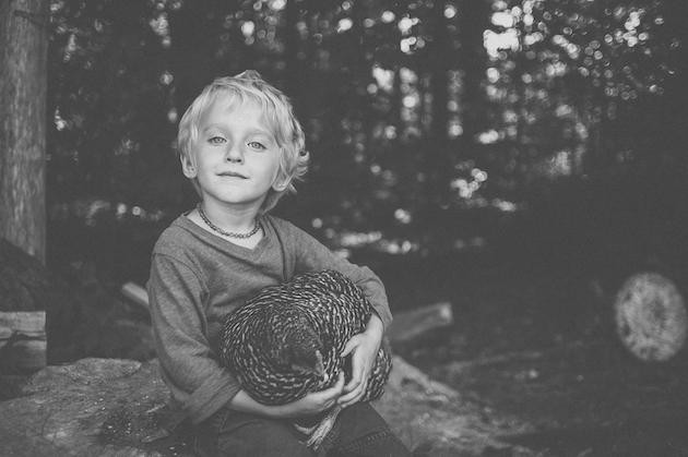 Photography Tips for the Camera Challenged: child with chicken