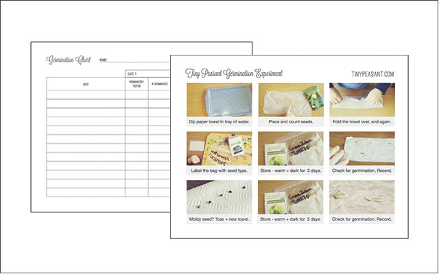 germinating seeds with kids - printable charts