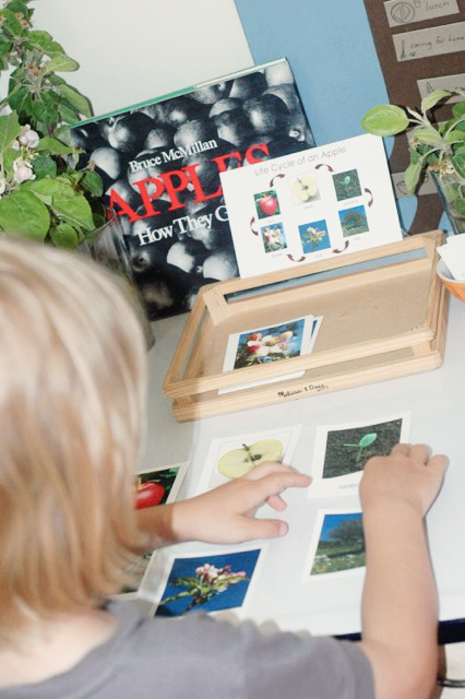 Create a sensory rich apple learning station