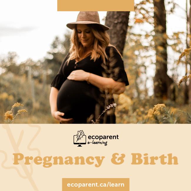 Pregnancy & Birth Course