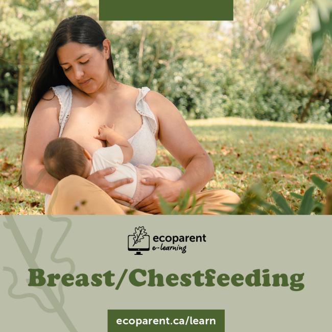 Breast/Chestfeeding Course