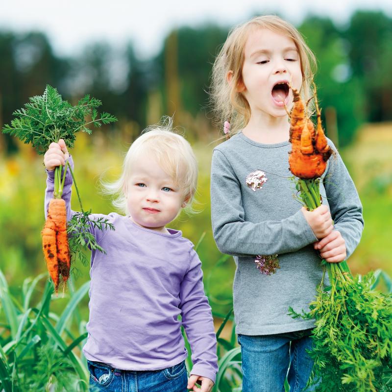 two small kids with carrots just pulled out of the garden