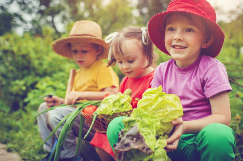 Helping Children Have a Healthy Relationship with Food