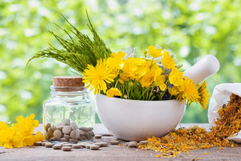 Herbal Remedies After Childbirth | EcoParent Magazine