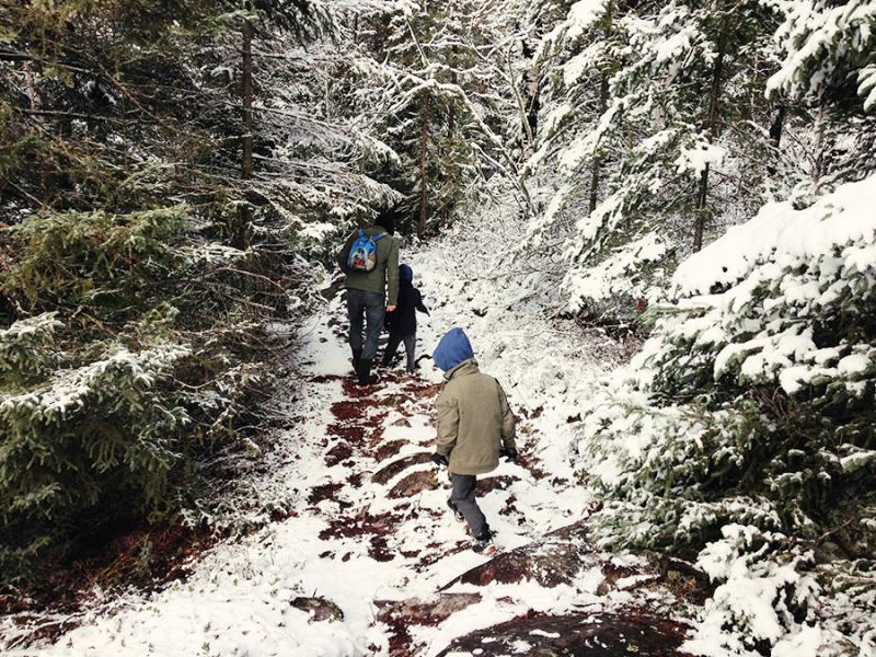 Winter Activity for Kids: Kids walking in path between pine trees