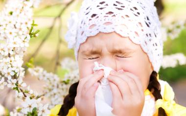 What Causes Allergy: Child Sneezing Into Tissue
