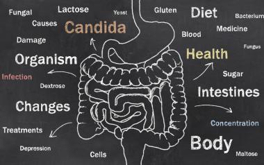 Treat a Candidiasis Infection Naturally: digestive system graphic with candida related terms