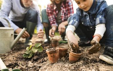 Play with Mud and Grow a Garden: kids gardening in the mud