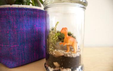 a dinosaur toy in a glass jar terrarium