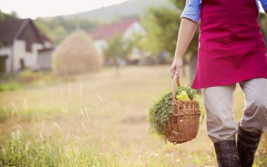 farmer carrying basket of produce and herbs