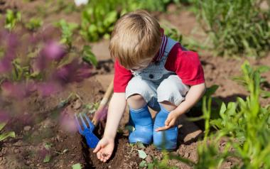 small boy planting seeds