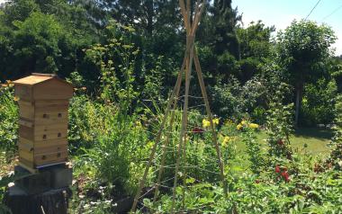 a biodynamic farm with beehive and tomato cage featured
