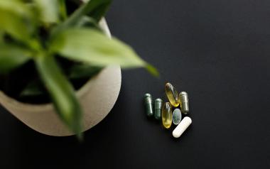A collection of supplements next to a planter on a dark wooden table.