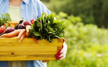 A woman holds a wooden crate full of fresh vegetables