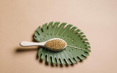 hair brush laying on a leaf-shaped dish