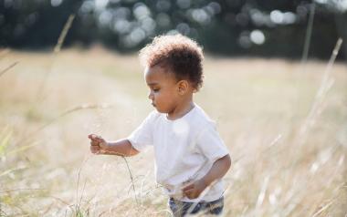 little boy in a field of tall grass
