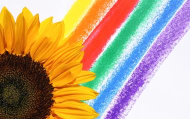 a drawn rainbow and a sunflower