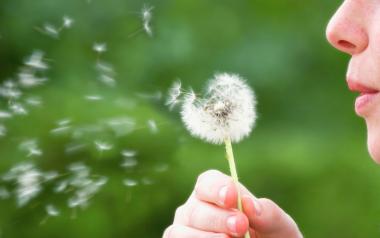 a person outdoors blowing on a dandelion