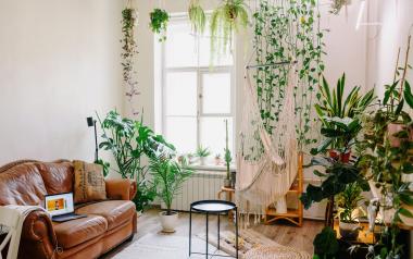 A brightly lit living space with plants and natural fabrics