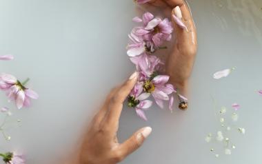 Hands cupping a blossom in a tub