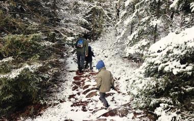 Winter Activity for Kids: Kids walking in path between pine trees