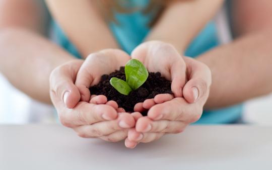 Self-watering seed starter in a Recycled Bottle: parent and child holding seedling together