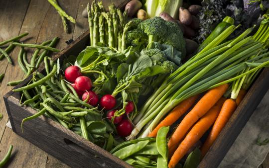 a box of freshly picked vegetables