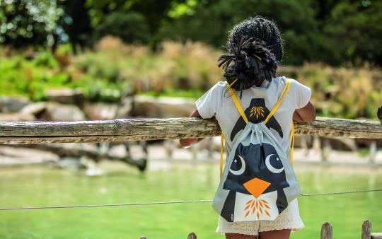 little girl standing against a railing looking out over the water wearing a backpack with a cartoon penguin