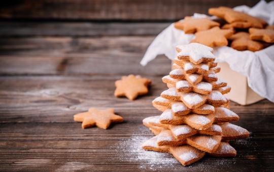 gingerbread trees sprinkled with powdered sugar on a wooden table