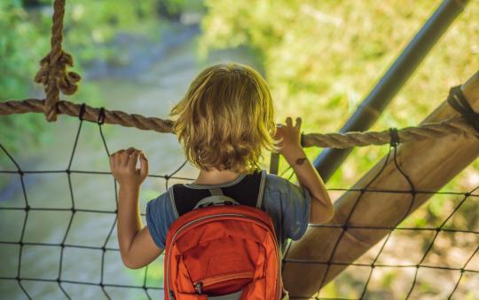 small boy looking over a rope fence