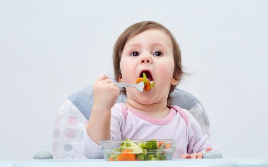 baby feeding self solid food