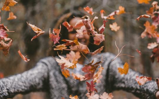 autumn foraging food outdoors