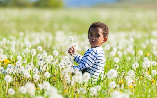 seasonal allergies symptoms 