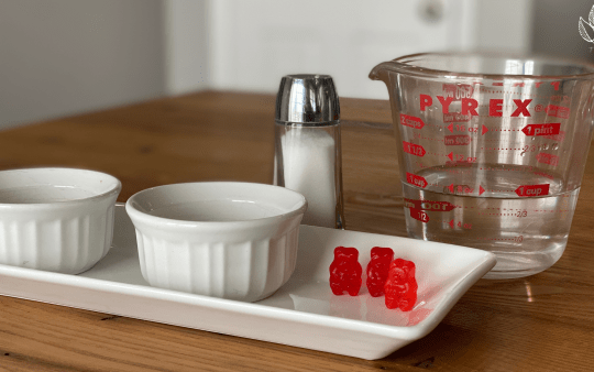 The Gummy Bear Experiment