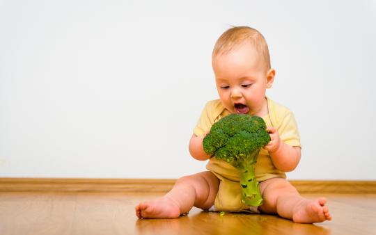 babies infants feeding solid food