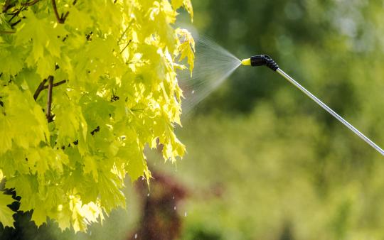 healthy plant spray