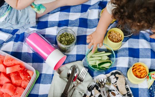 planning zero waste picnic overhead